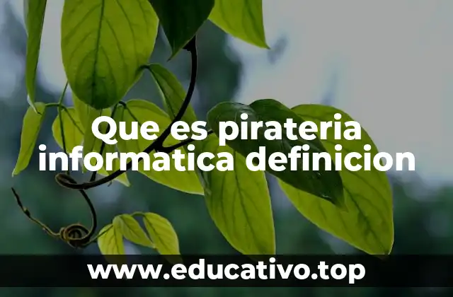 Que es pirateria informatica definicion