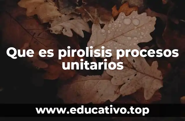 Que es pirolisis procesos unitarios
