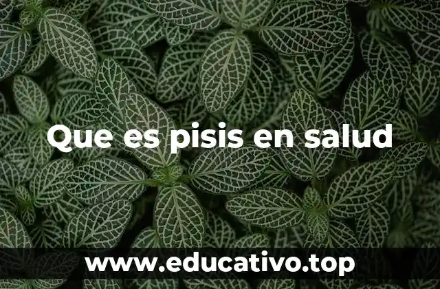 Que es pisis en salud