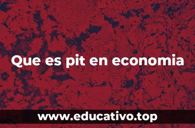 Que es pit en economia