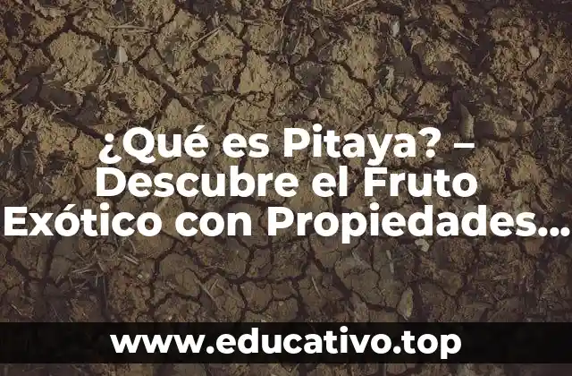 ¿Qué es Pitaya? – Descubre el Fruto Exótico con Propiedades Nutricionales Únicas