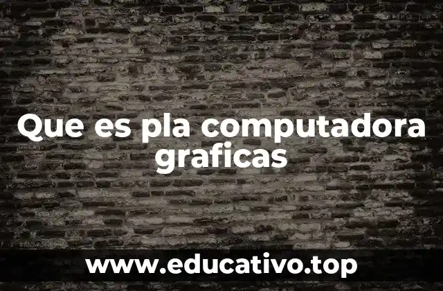 Que es pla computadora graficas