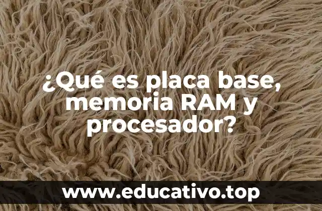 La base del sistema informático: componentes esenciales