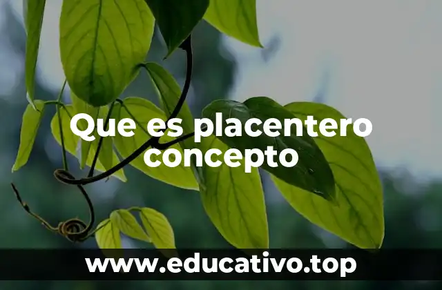 Que es placentero concepto