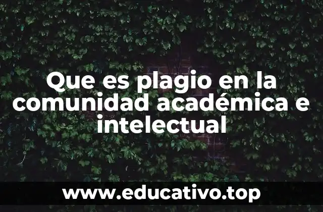 Que es plagio en la comunidad académica e intelectual