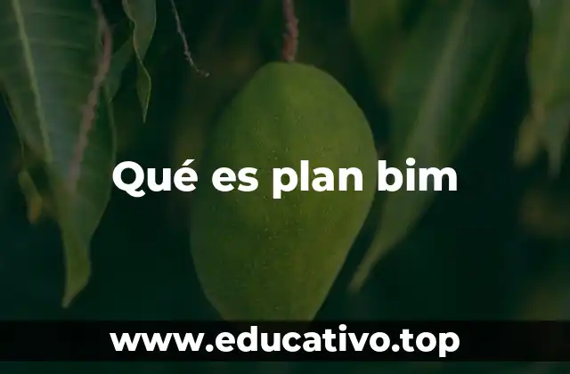 Qué es plan bim