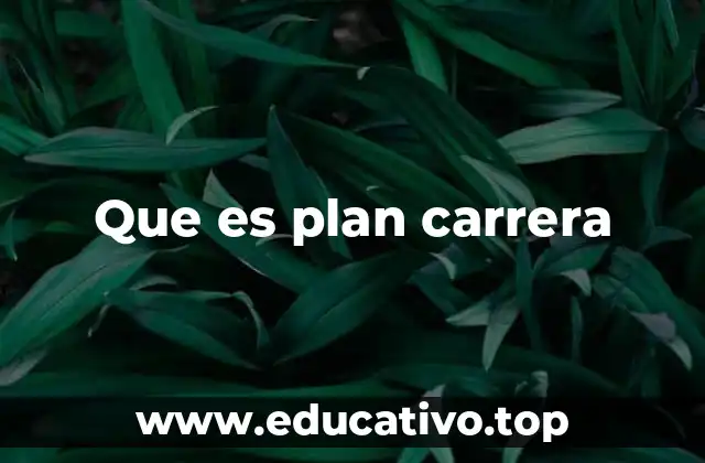 Que es plan carrera