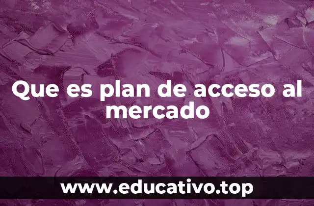 Que es plan de acceso al mercado