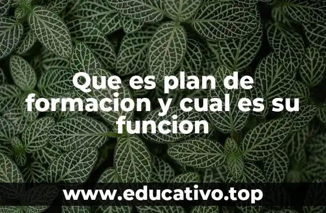 Que es plan de formacion y cual es su funcion