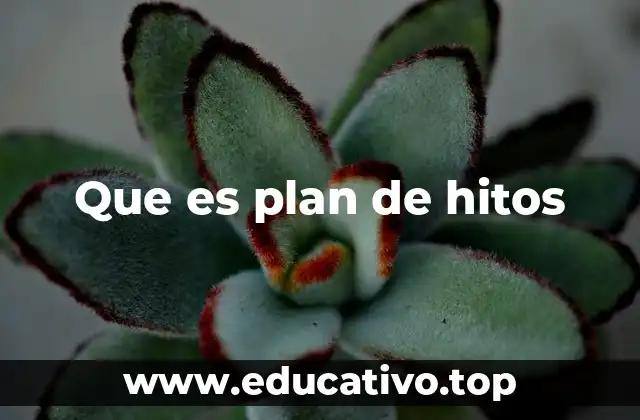 Que es plan de hitos