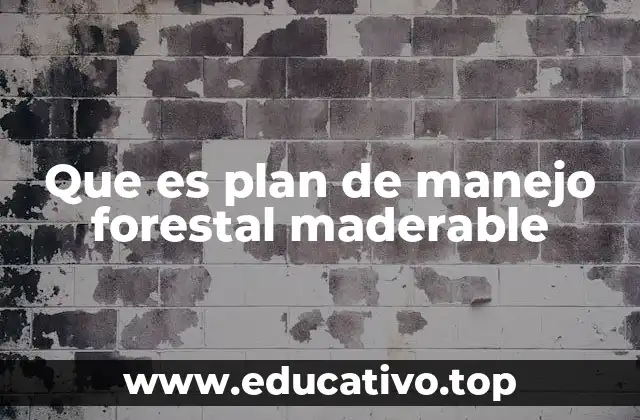 Que es plan de manejo forestal maderable