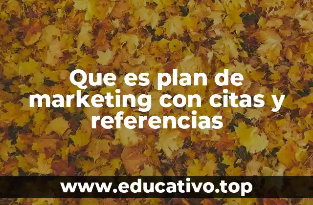 Que es plan de marketing con citas y referencias