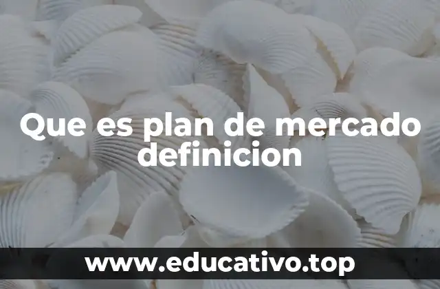 La importancia del plan de mercado en el desarrollo empresarial