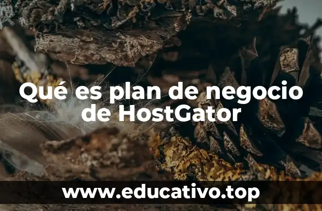 Qué es plan de negocio de HostGator