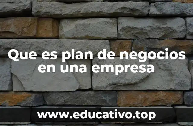 Que es plan de negocios en una empresa