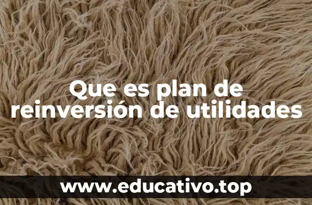 Que es plan de reinversión de utilidades