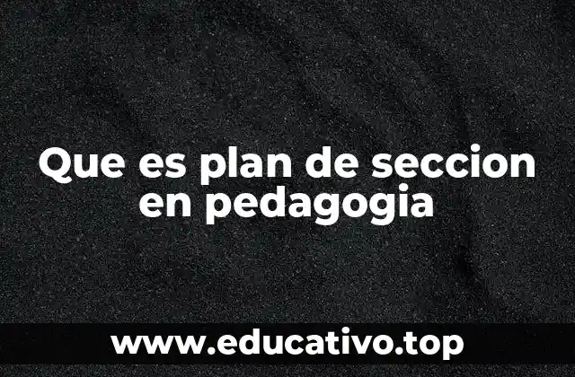 Que es plan de seccion en pedagogia