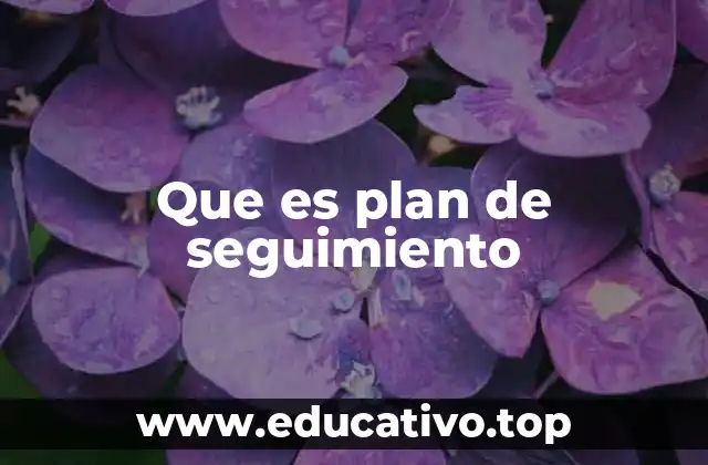 Que es plan de seguimiento