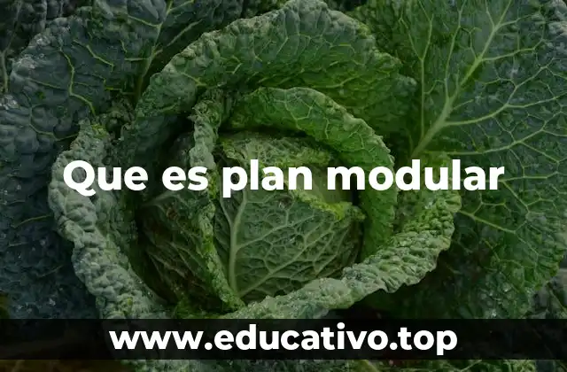 Que es plan modular