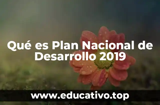 Qué es Plan Nacional de Desarrollo 2019