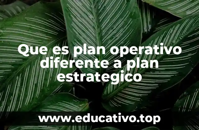 Que es plan operativo diferente a plan estrategico