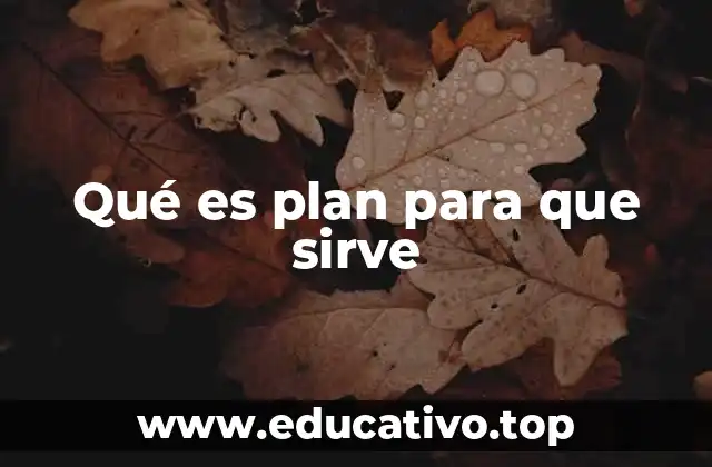 Qué es plan para que sirve