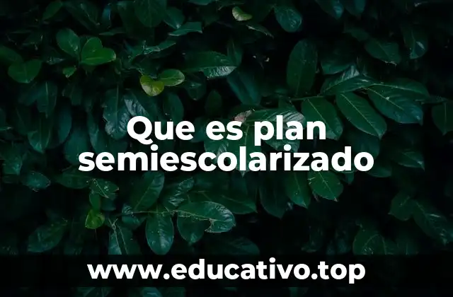 Que es plan semiescolarizado