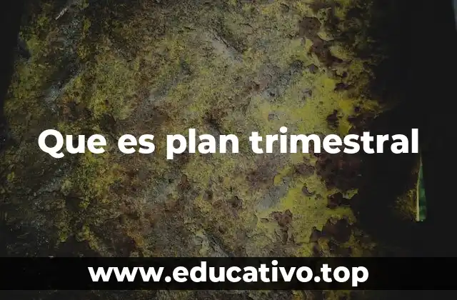 Que es plan trimestral