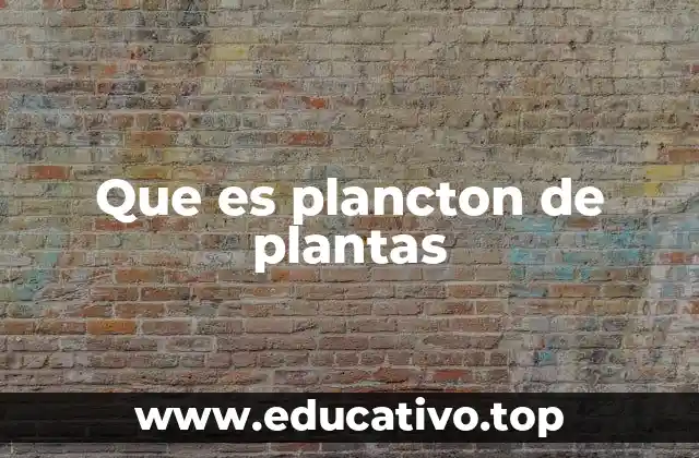 Que es plancton de plantas