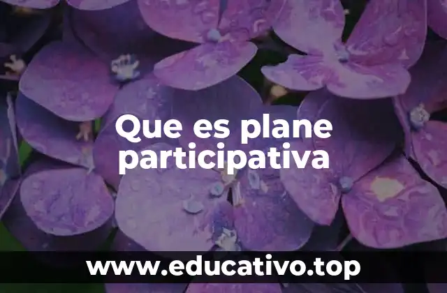 Que es plane participativa
