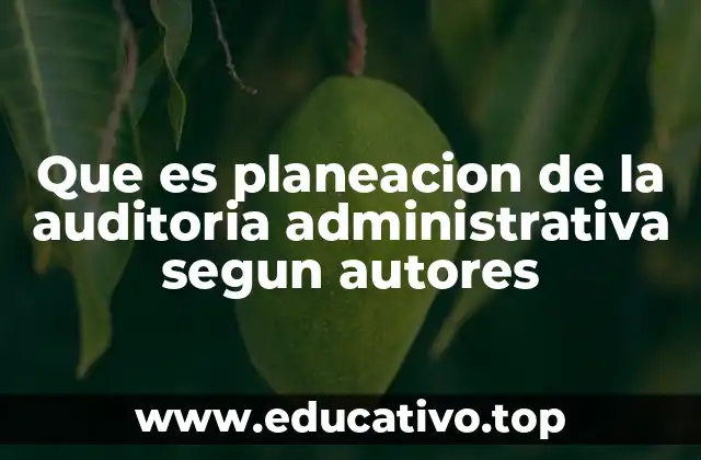 Que es planeacion de la auditoria administrativa segun autores
