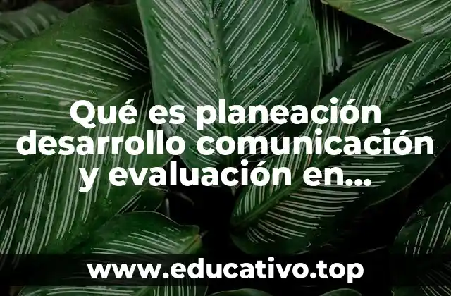 Qué es planeación desarrollo comunicación y evaluación en geografía