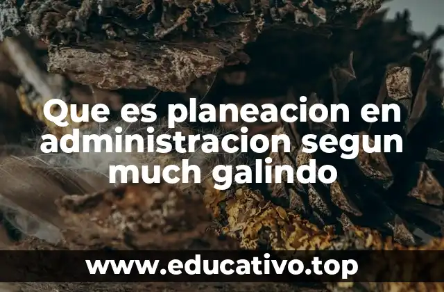 Que es planeacion en administracion segun much galindo