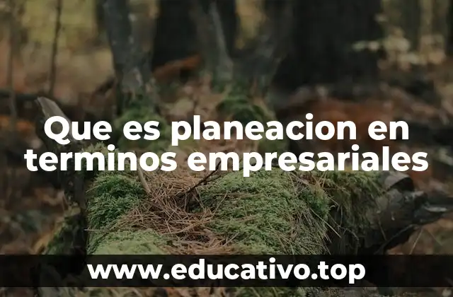 Que es planeacion en terminos empresariales