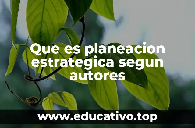 Que es planeacion estrategica segun autores