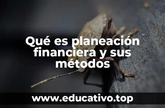 Qué es planeación financiera y sus métodos