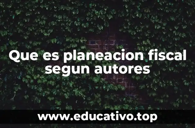 Que es planeacion fiscal segun autores