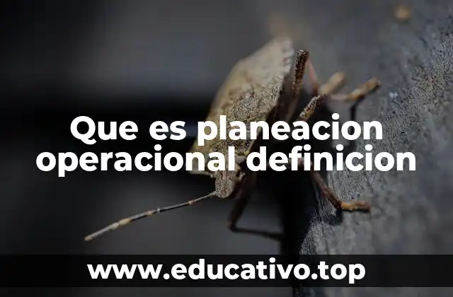 El papel de la planificación en la gestión empresarial