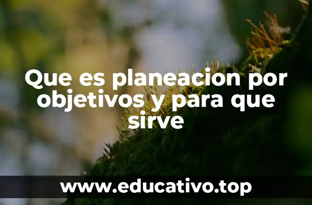 Que es planeacion por objetivos y para que sirve