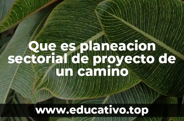 Que es planeacion sectorial de proyecto de un camino