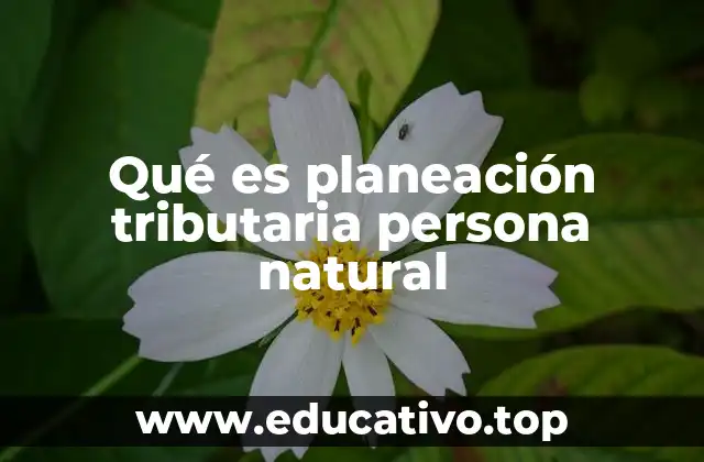 Qué es planeación tributaria persona natural
