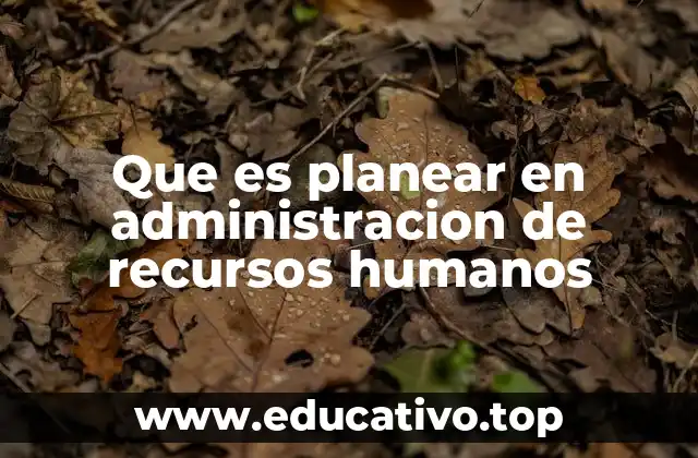 Que es planear en administracion de recursos humanos