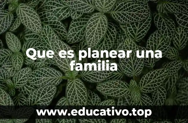 Que es planear una familia
