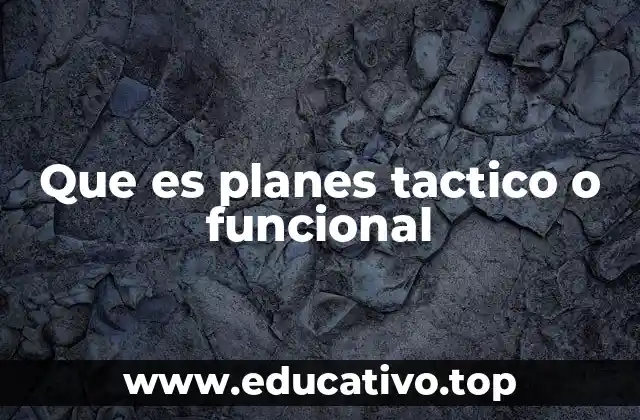 Que es planes tactico o funcional