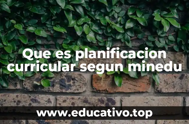 Que es planificacion curricular segun minedu