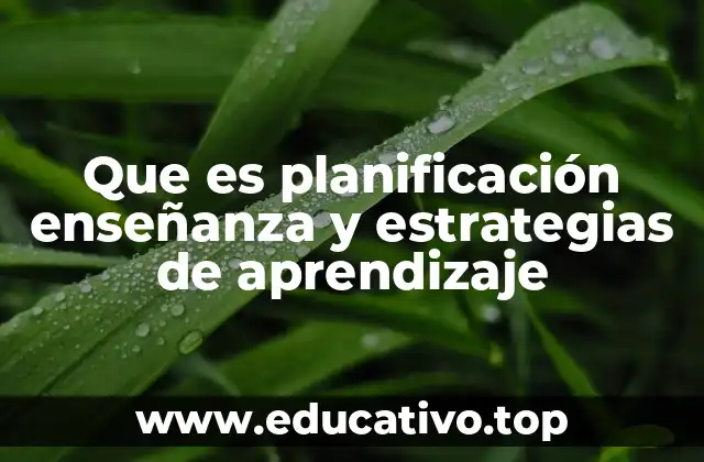 Que es planificación enseñanza y estrategias de aprendizaje