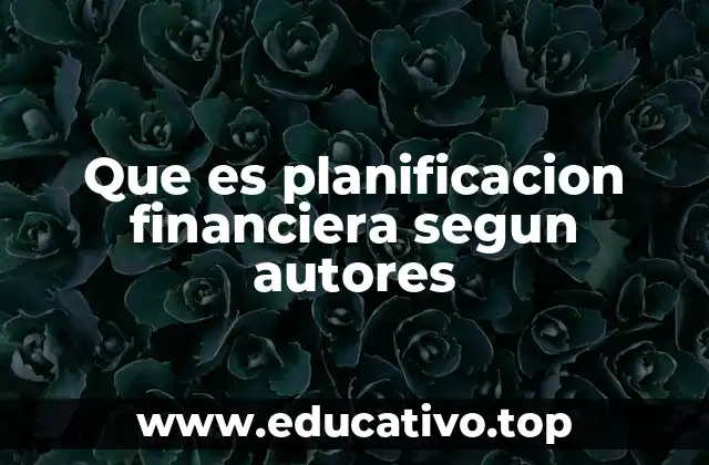 Que es planificacion financiera segun autores