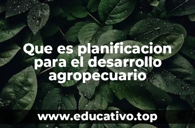 Que es planificacion para el desarrollo agropecuario