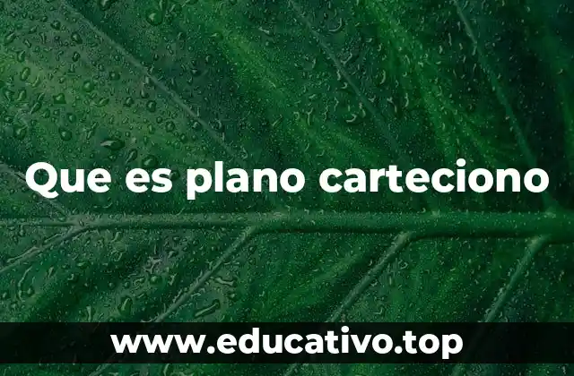 Que es plano carteciono