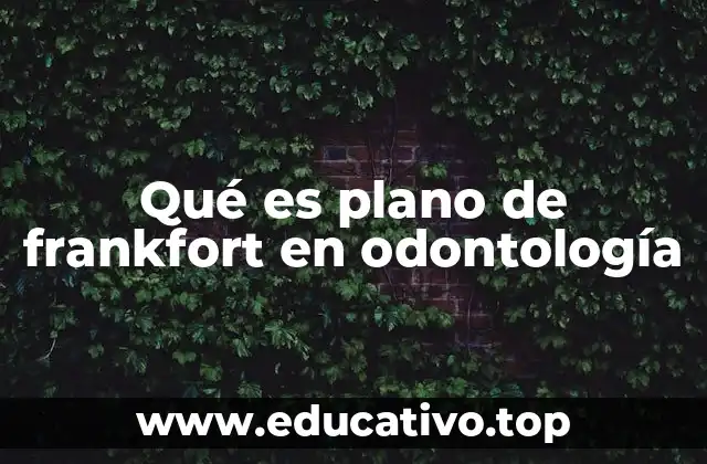 Qué es plano de frankfort en odontología